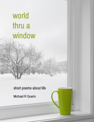 world thru a window